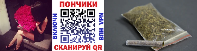 Конопля ГИДРОПОН  Купить  Суздаль 